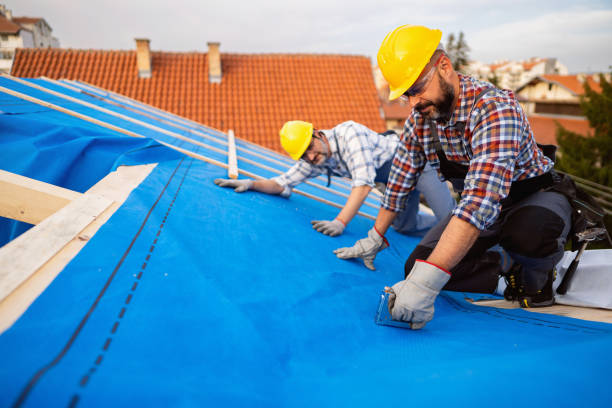 Best Cold Roofs  in Bayboro, NC