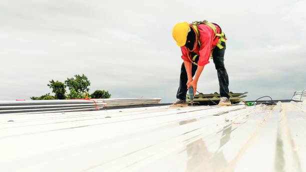 Gutter Replacement in Bayboro, NC