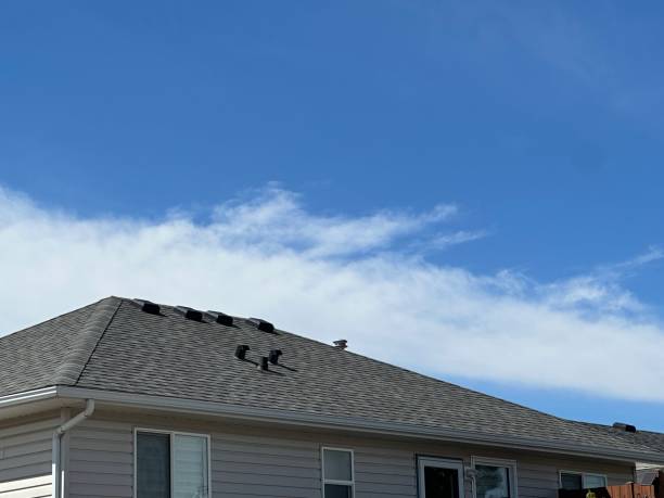 Best Storm Damage Roof Repair  in Bayboro, NC